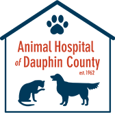 Animal Hospital of Dauphin County | Veterinarians in Harrisburg